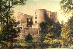 chateau-88