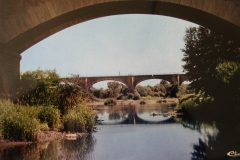 Bords-de-Loire-101