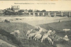 Bords-de-Loire-106