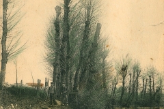 Bords-de-Loire-16