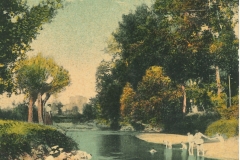 Bords-de-Loire-35
