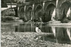 Bords-de-Loire-43