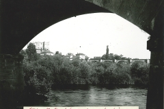 Bords-de-Loire-48