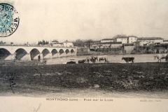 Bords-de-Loire-65