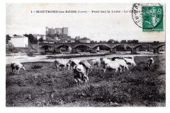 Bords-de-Loire-74