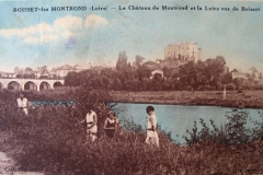 Bords-de-Loire-84