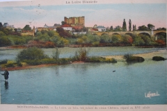 Bords-de-Loire-85
