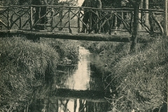 parc-15