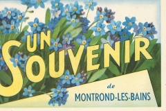 un-bonjour-de-montrond-52