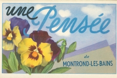 un-bonjour-de-montrond-53