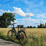 BALADE MENSUELLE CYCLO ORNITHOLOGIQUE