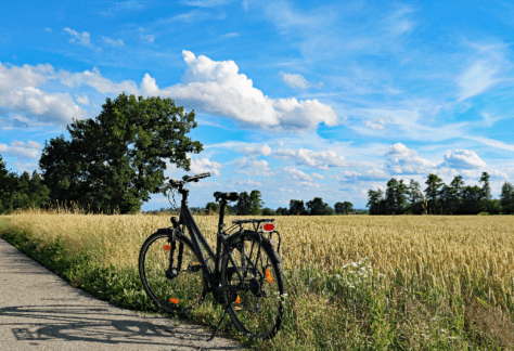 BALADE MENSUELLE CYCLO ORNITHOLOGIQUE
