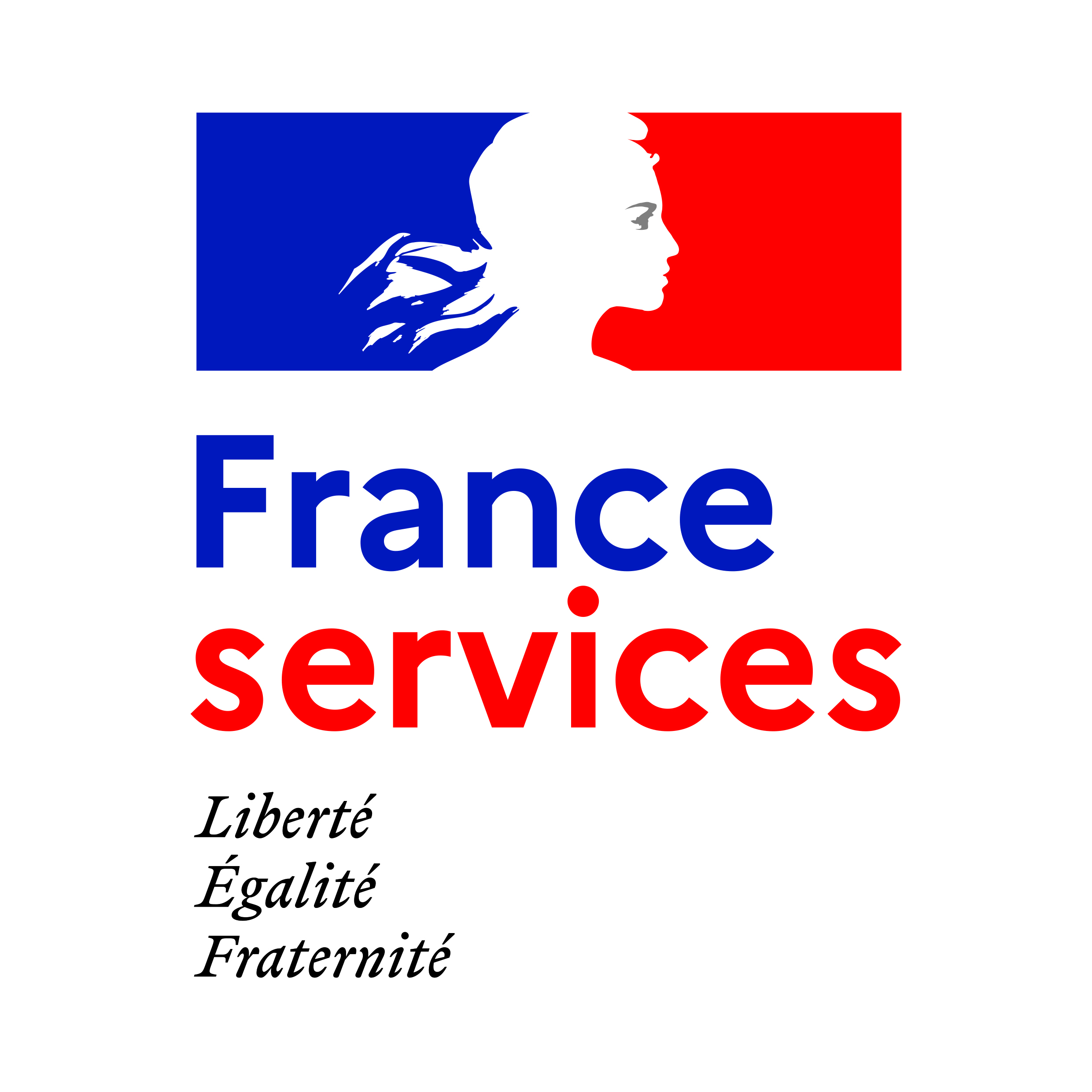 SIG FRANCE SERVICES PLAQUE 210x210 CMJN