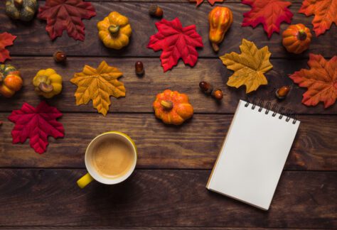 Actu octobre video passrelles