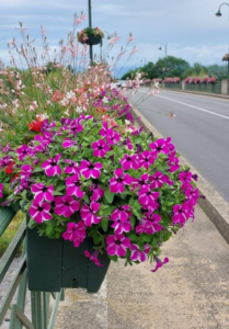 Balcon fleuri Balcon fleuri