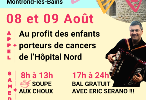 Fête Meylieu - visuel