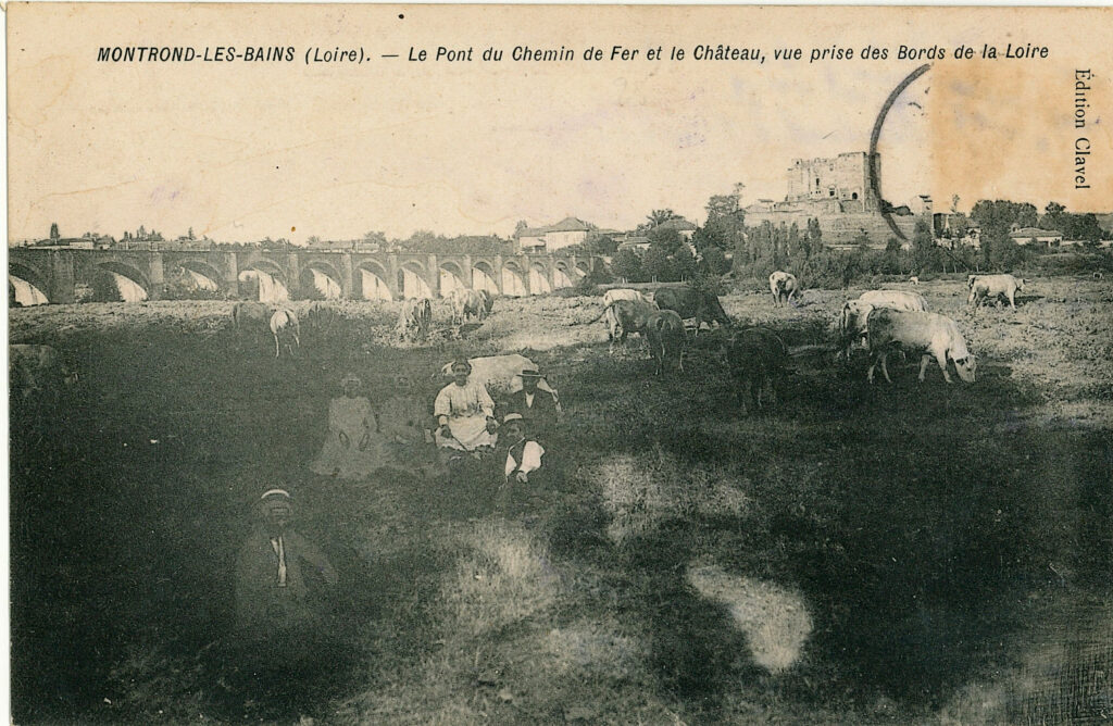 animaux (10)