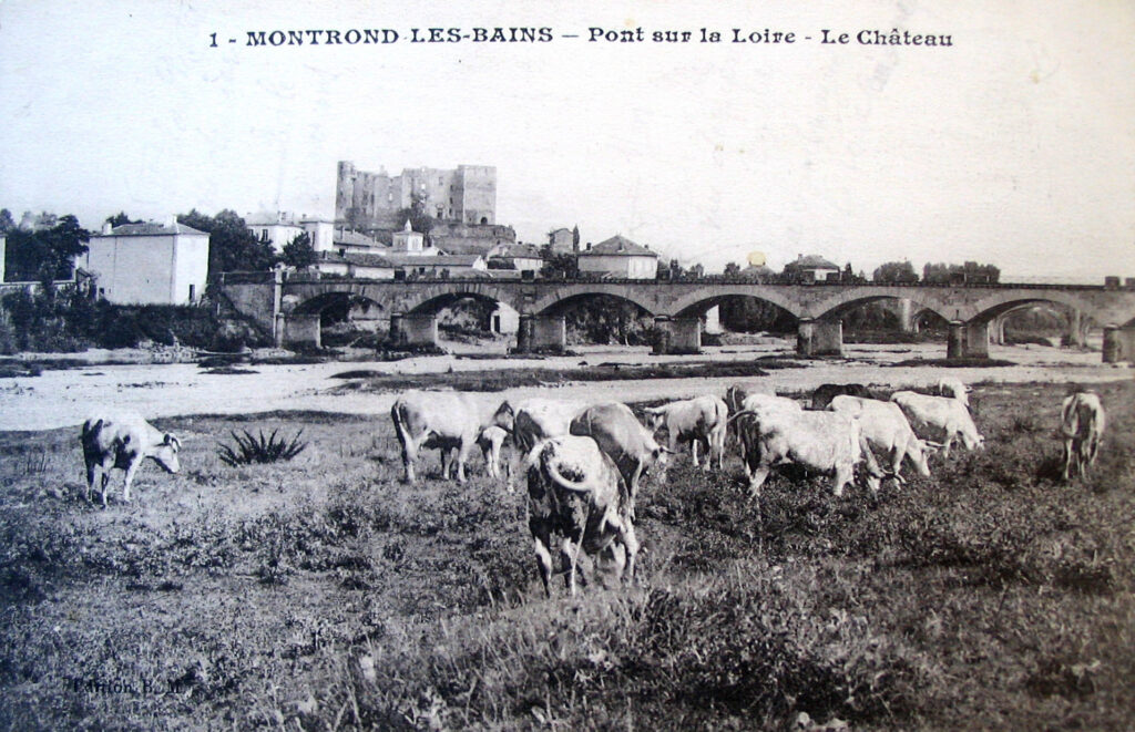 animaux (19)