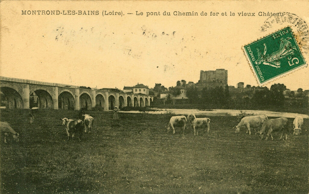 animaux (9)